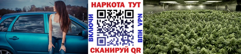Наркошоп купить Бошки Шишки  МЕТАДОН  Псилоцибиновые грибы  Гашиш  Мефедрон  Нижнекамск