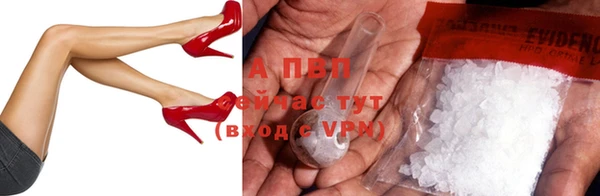шишки Богданович