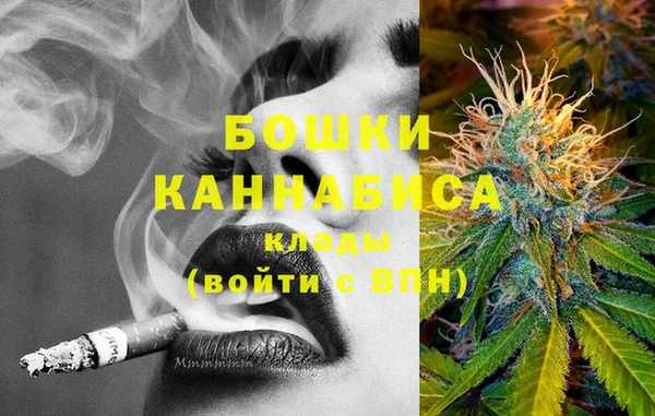 шишки Богданович