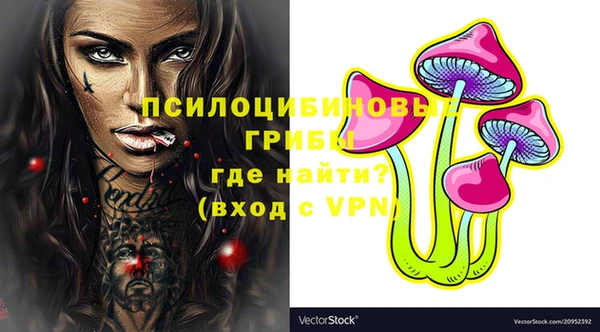 шишки Богданович